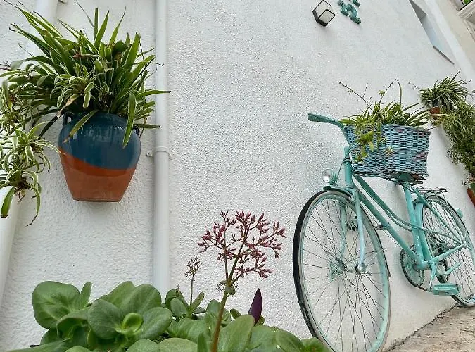 Hostal Boutique Olvido 22 Adults Only